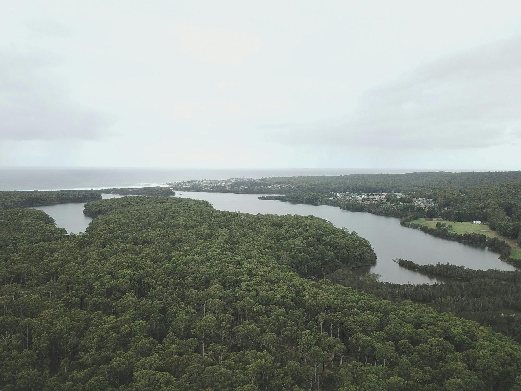Aerial view of Lake Mummuga, Bodalla State Forest