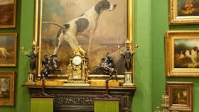 David Roche Gallery