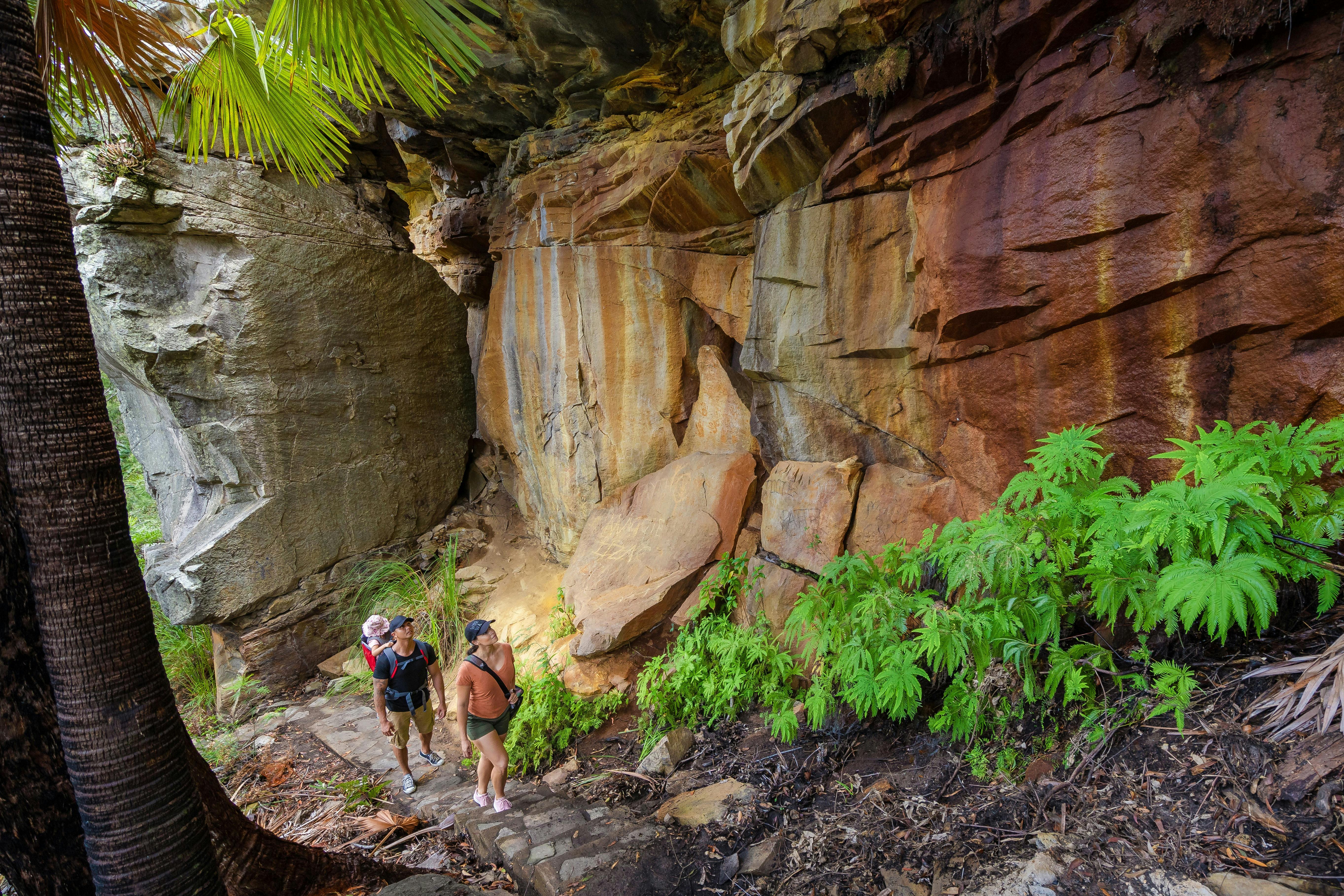 Blackdown Tablelands