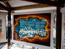 Lake Clifton Thrombolites, Herron, Western Australia