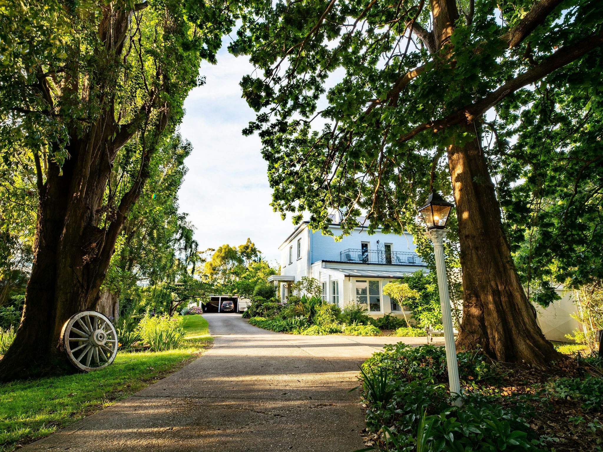 Looking down the driveway