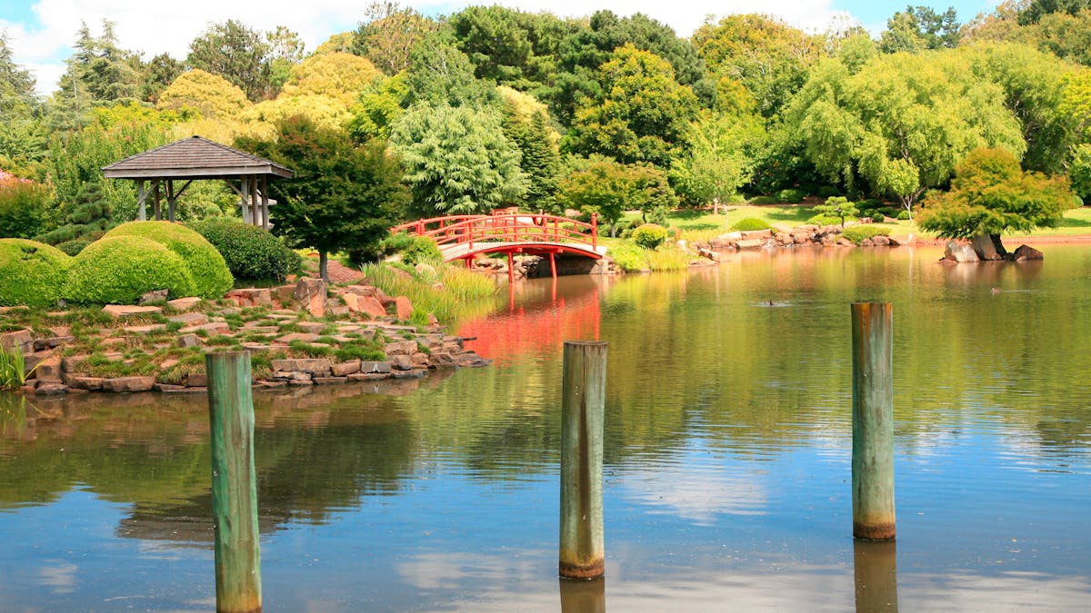 red bridge over water in the Japanese Gardens Toowoomba with trees in background