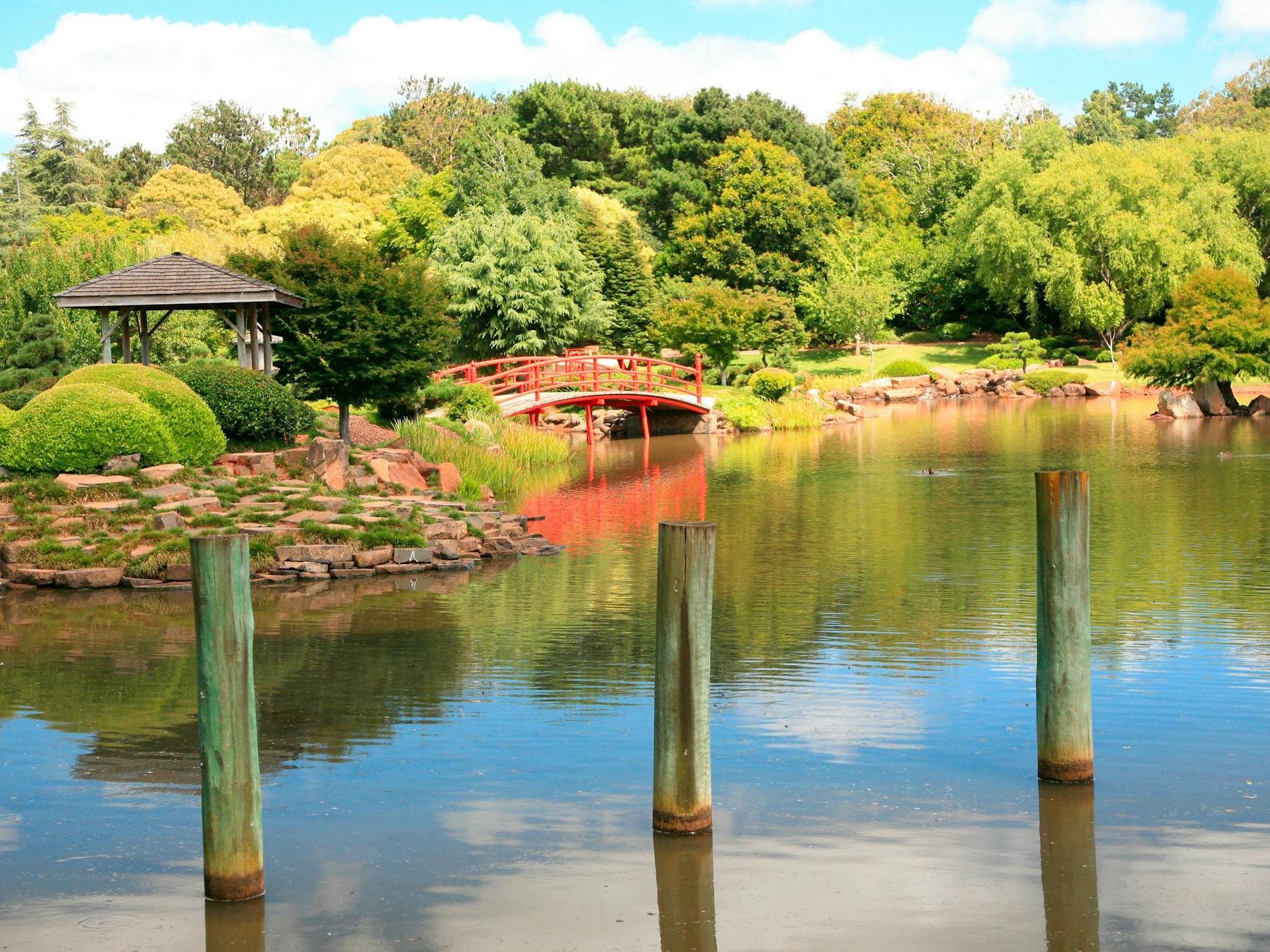 red bridge over water in the Japanese Gardens Toowoomba with trees in background