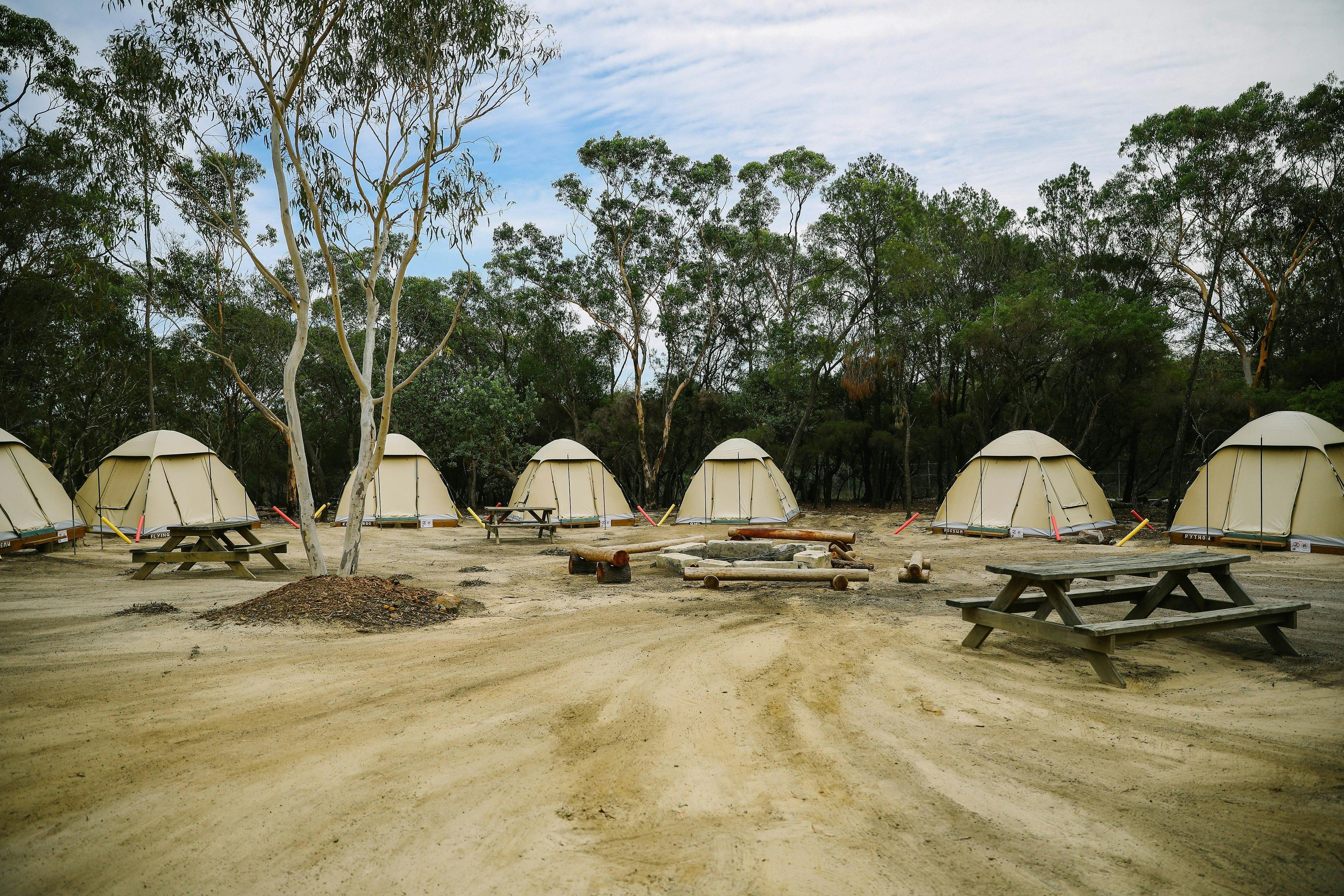 Wild Sleep Out Campsite