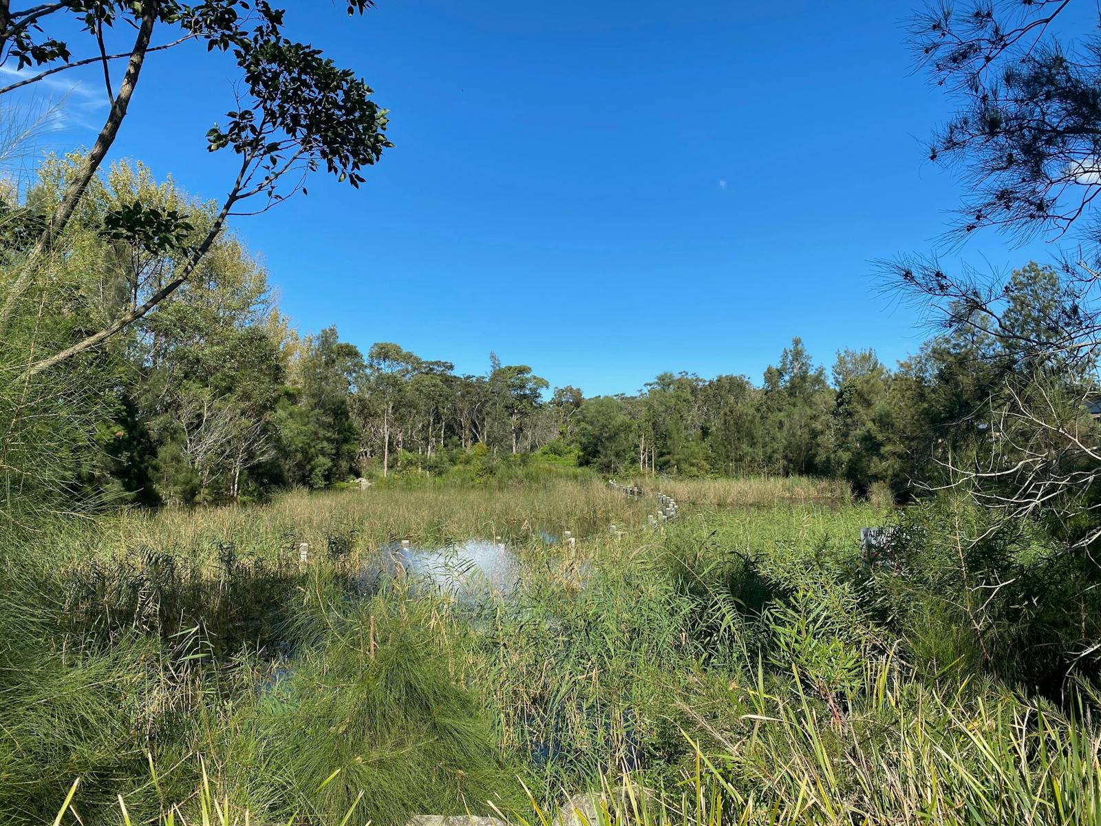 Warriewood Wetlands