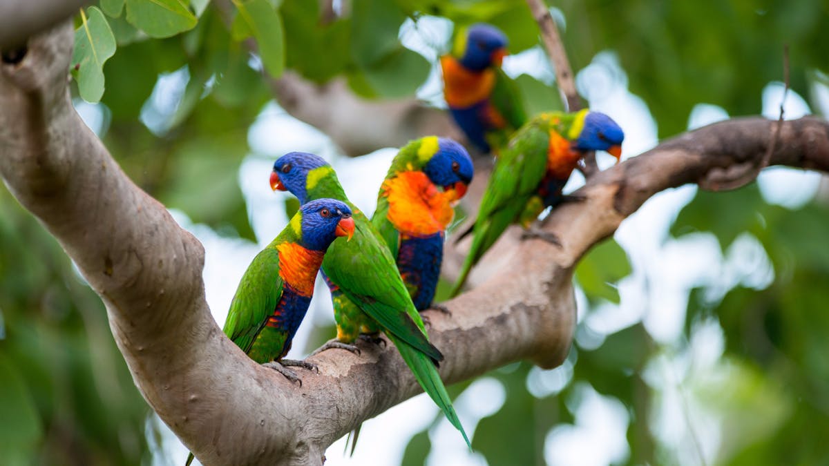 Enjoy the wildlife and views from Osprey's Restaurant