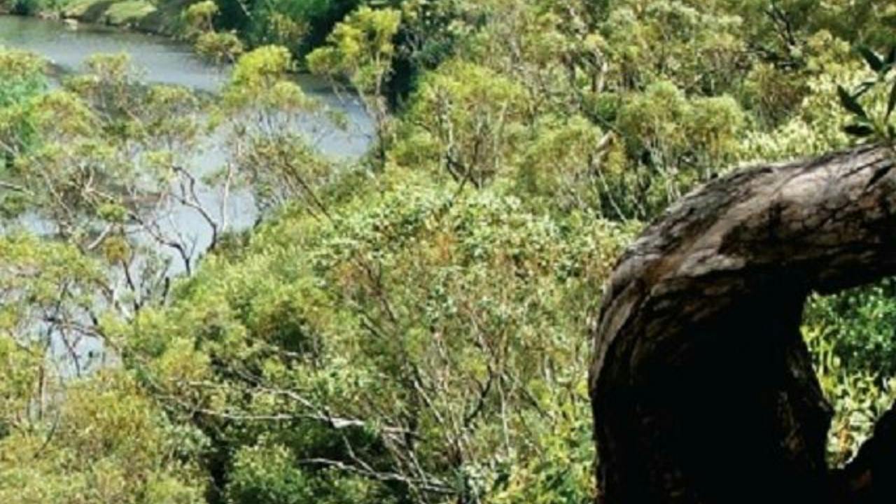Heuston Lookout