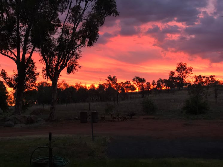 Beautiful night skies