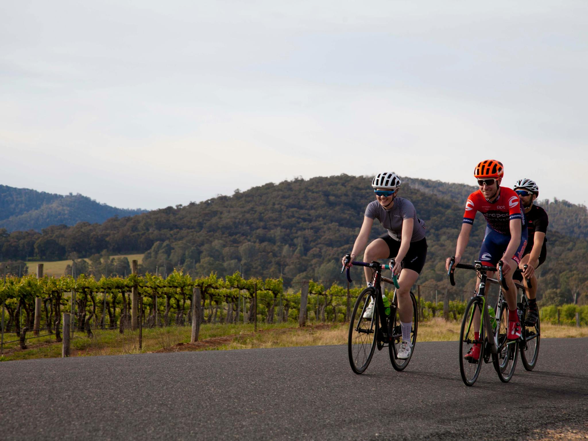 Cyclists riding on road, vineyard beside road vines with green folage & mountains in the backgroun
