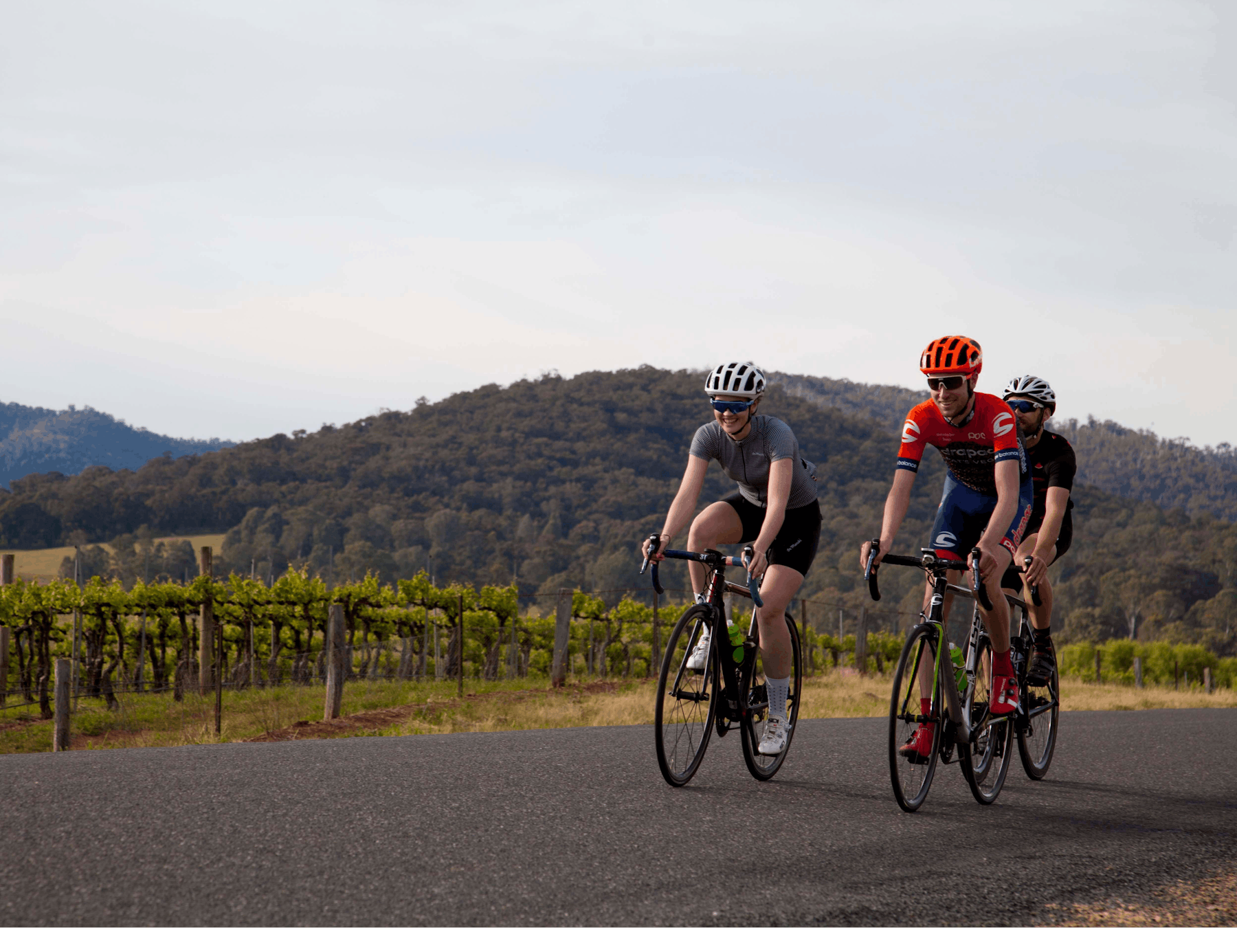 Cyclists riding on road, vineyard beside road vines with green folage & mountains in the backgroun