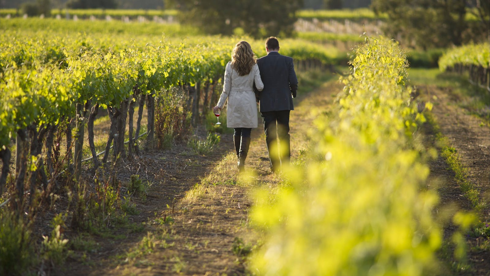 Barossa