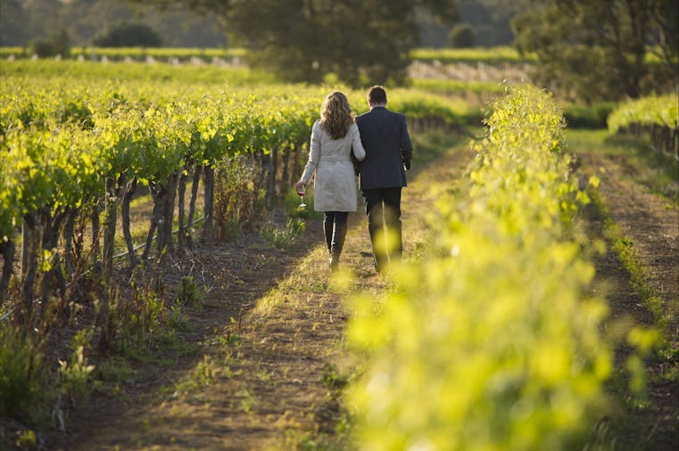 Iconic Barossa Valley Experience