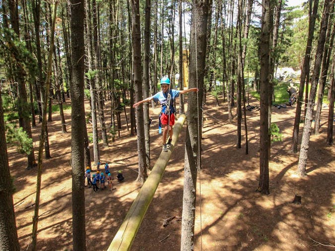 Go Wild Mount Lofty Adventure Hub