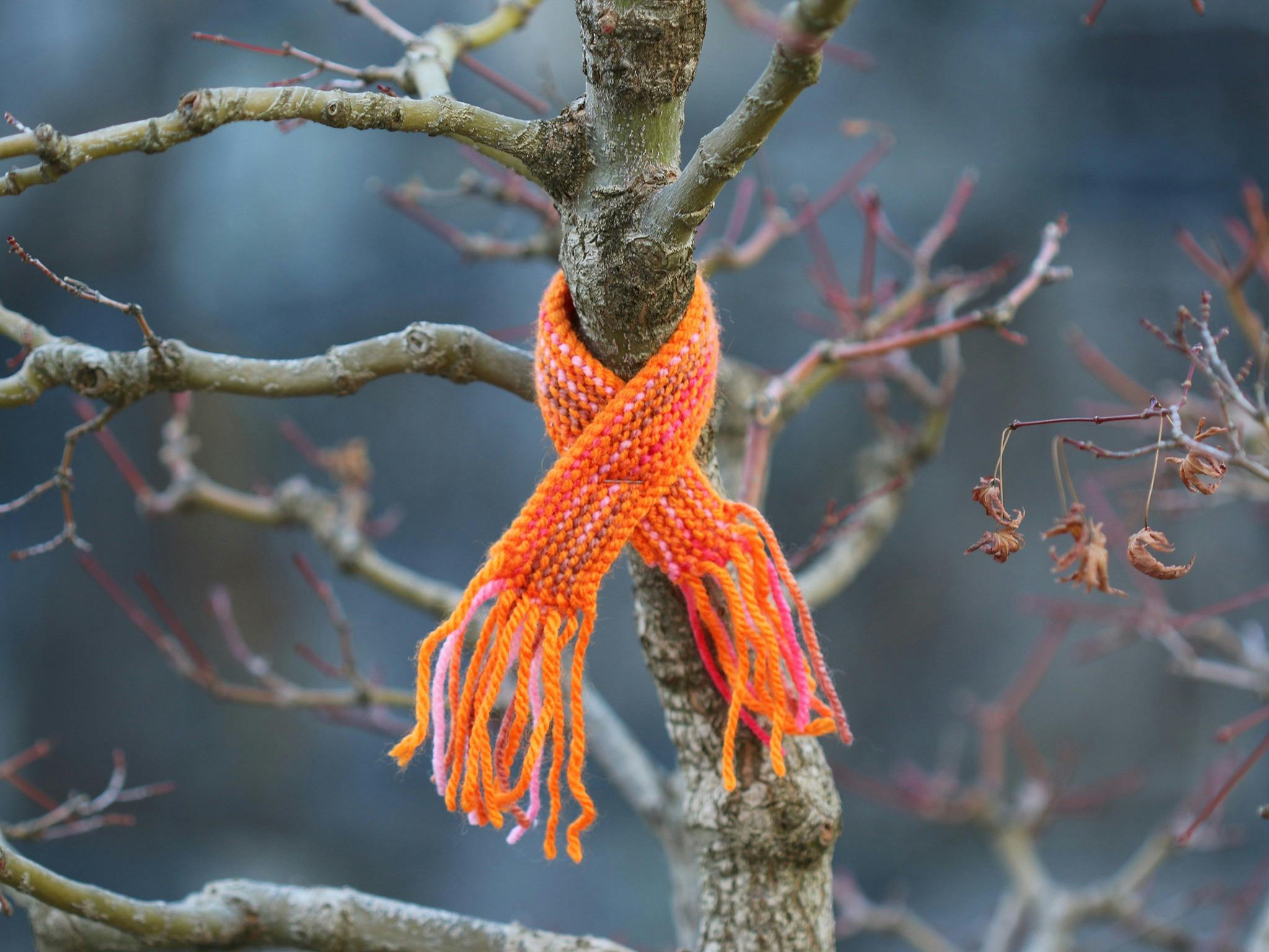 Warm Trees 3