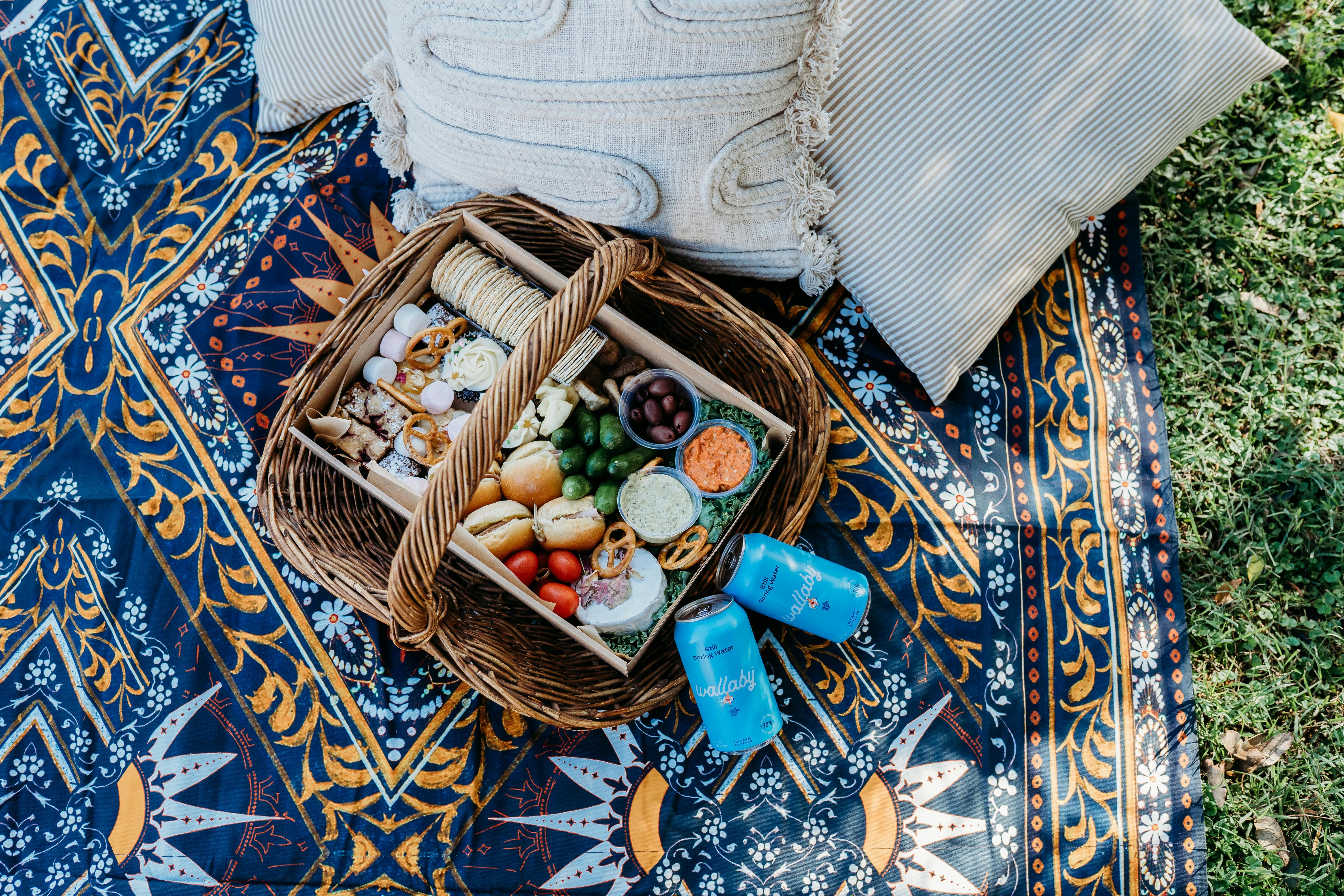 Chill'd Picnic Vibes under gorgeous skies