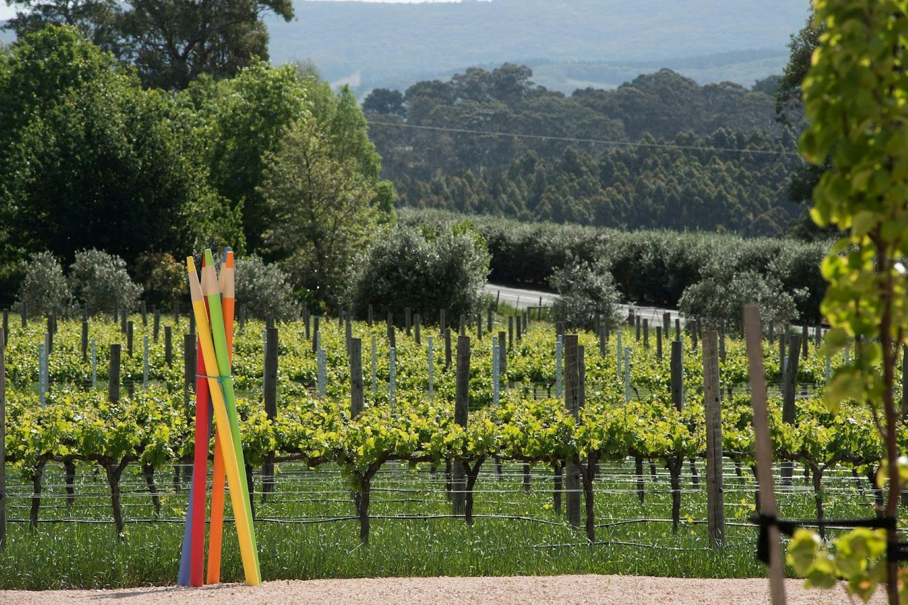 Vineyard
