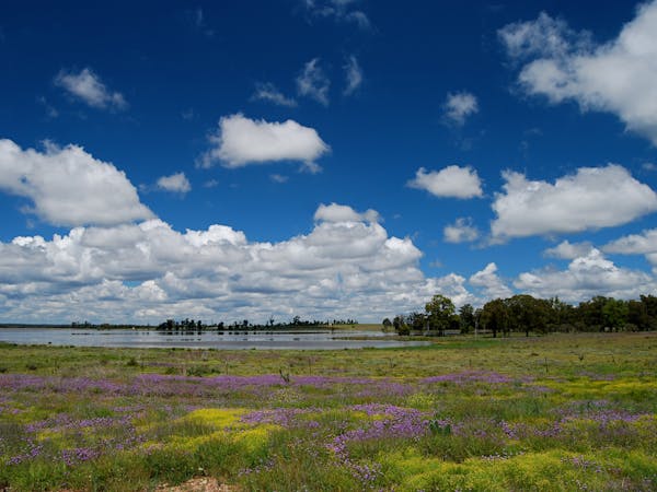 Coolmunda Dam, Inglewood Coolmunda Dam, Inglewood