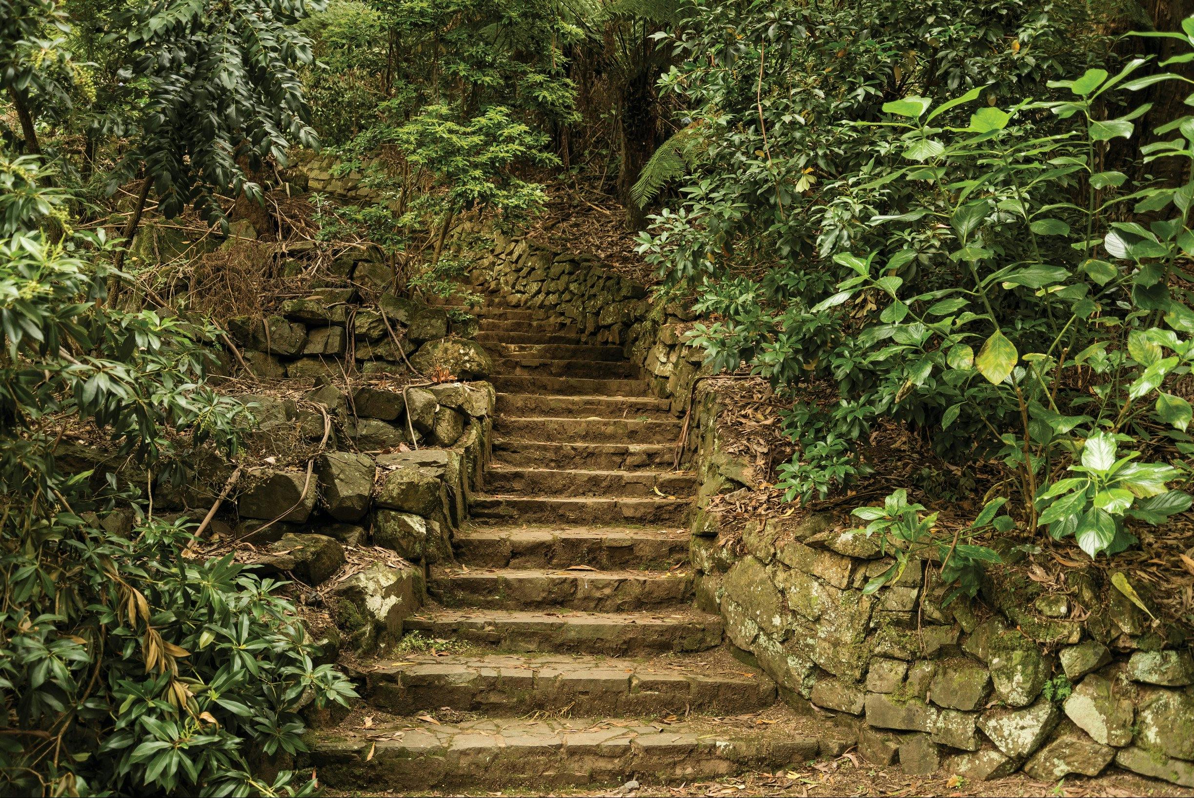 William Ricketts Sanctuary
