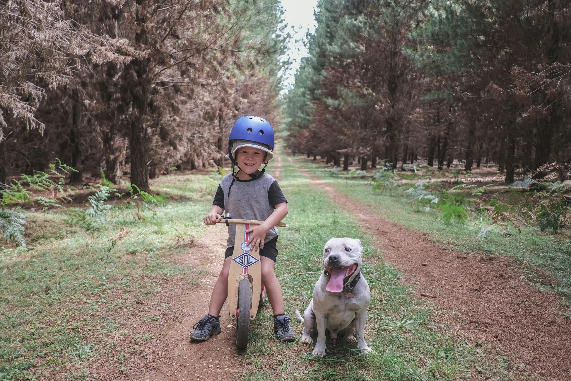 Child on balance bike and dog, Wingello State Forest