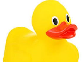 Bright yellow rubber duck toy with an orange beak and big black eyes