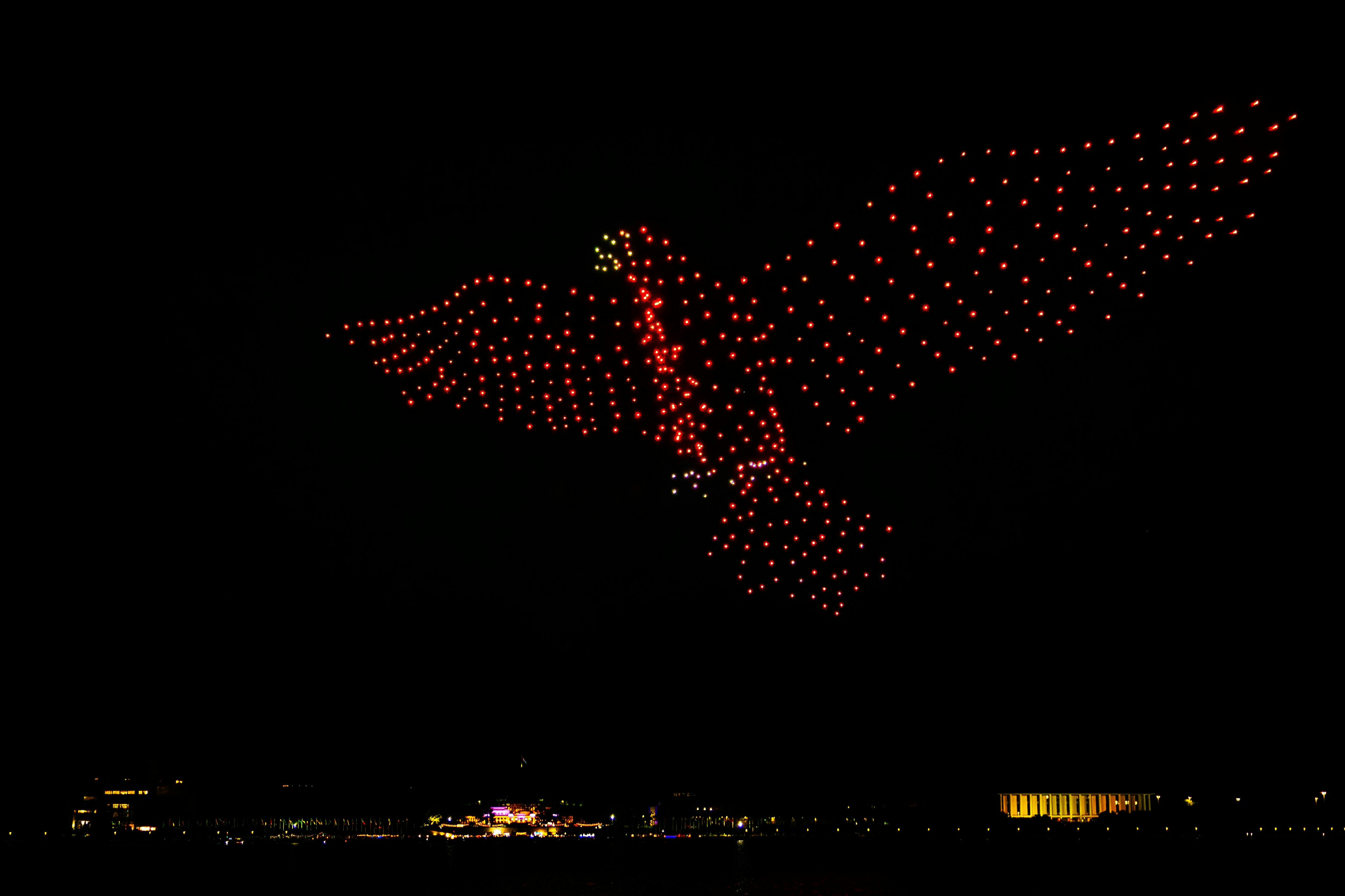 Eagle on night sky