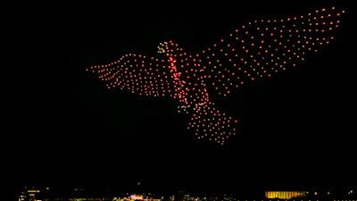 Eagle on night sky