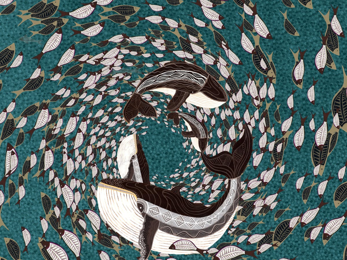 The artwork of Cheryl Davidson of whales in circles