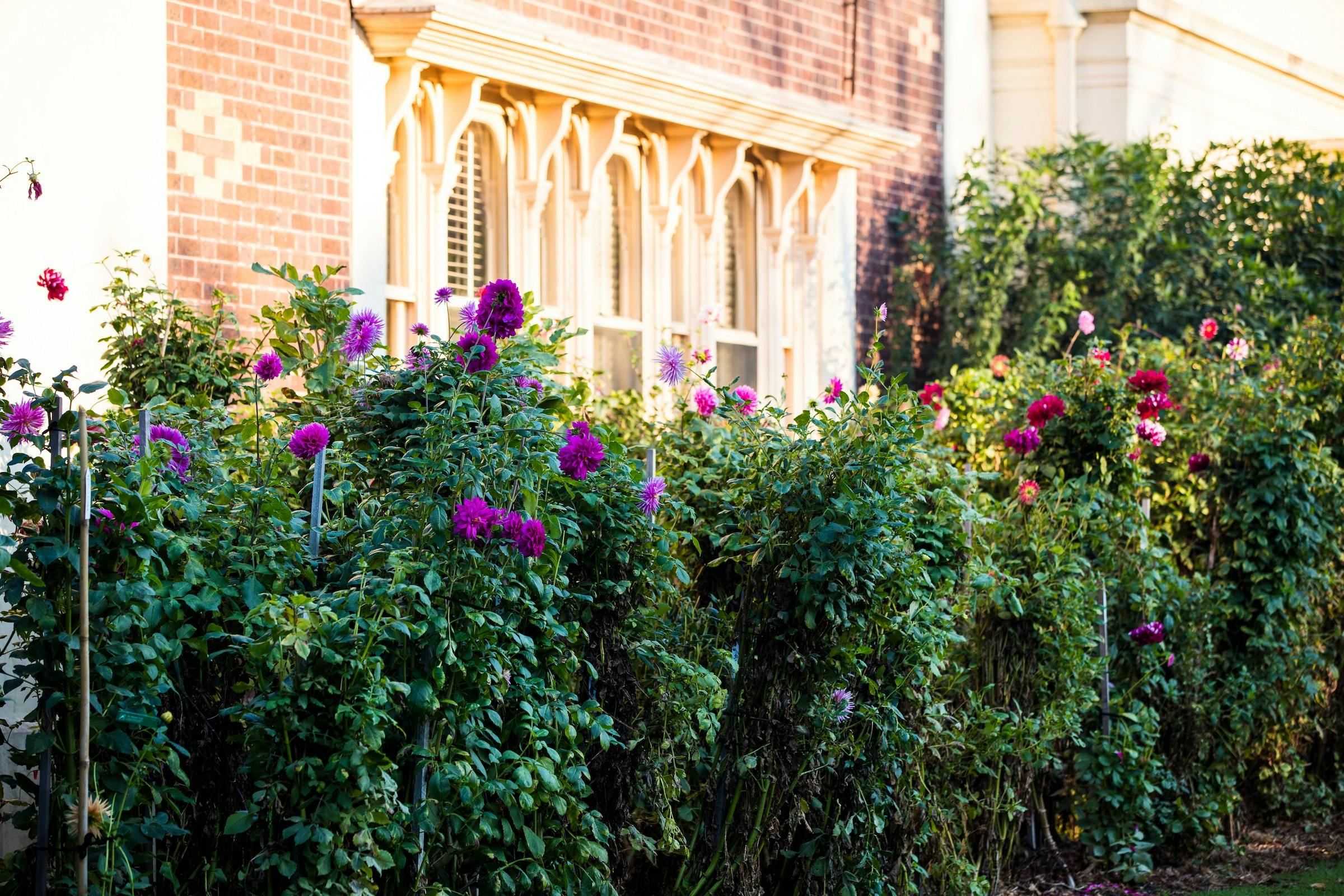 Rippon Lea Estate Gardens