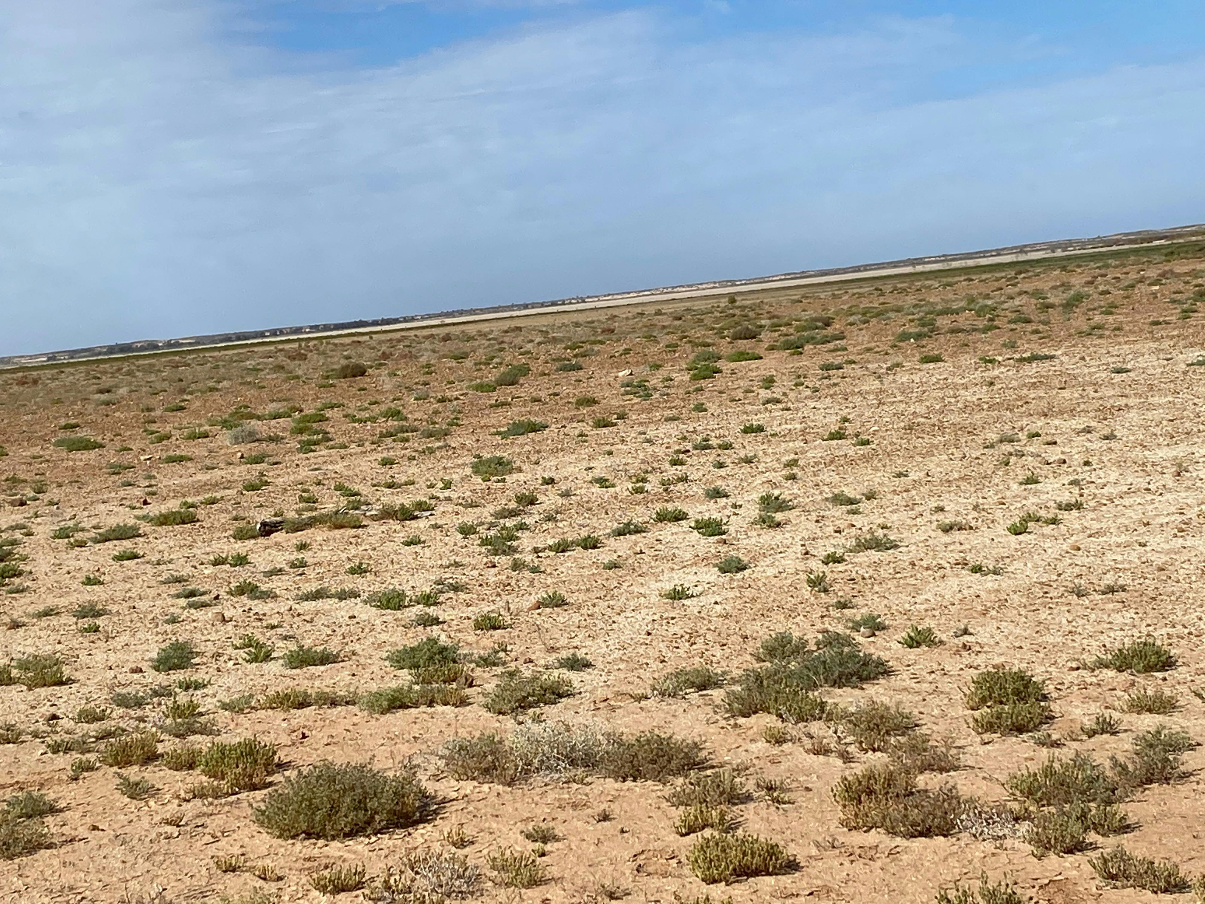 The  landscape is arid and vast