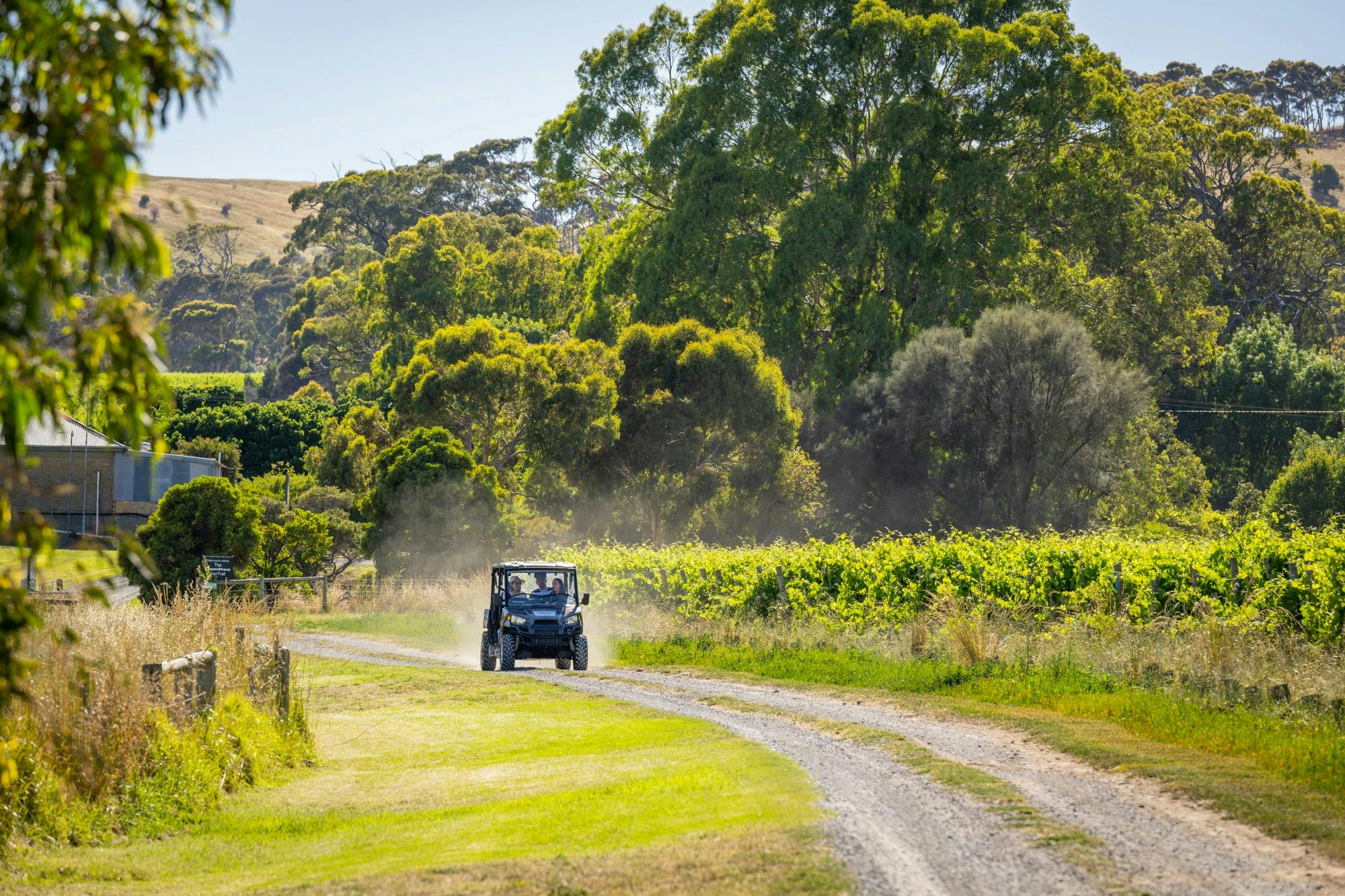 Guests are dropped off at the Gemtree Eco Trail for a self guided walk and gourmet lunch