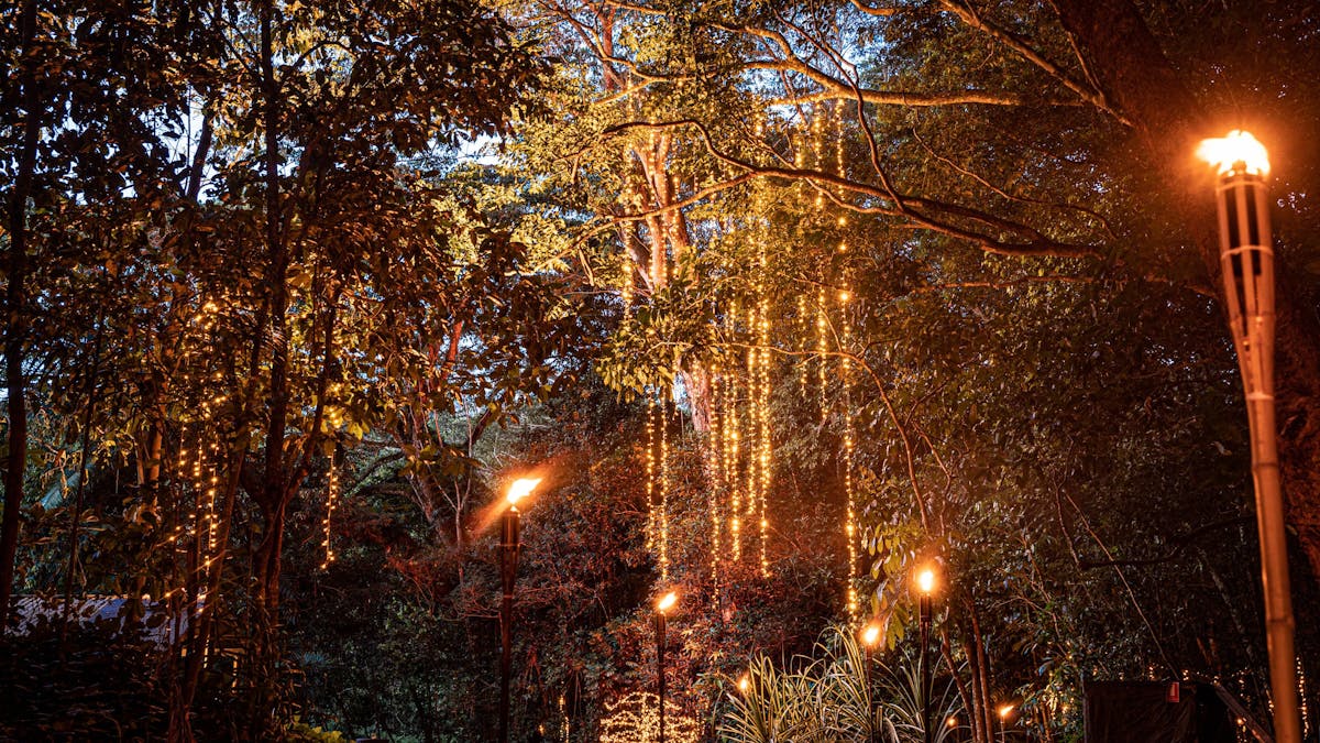 pre dinner pathway