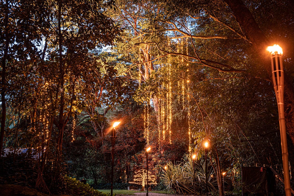 pre dinner pathway