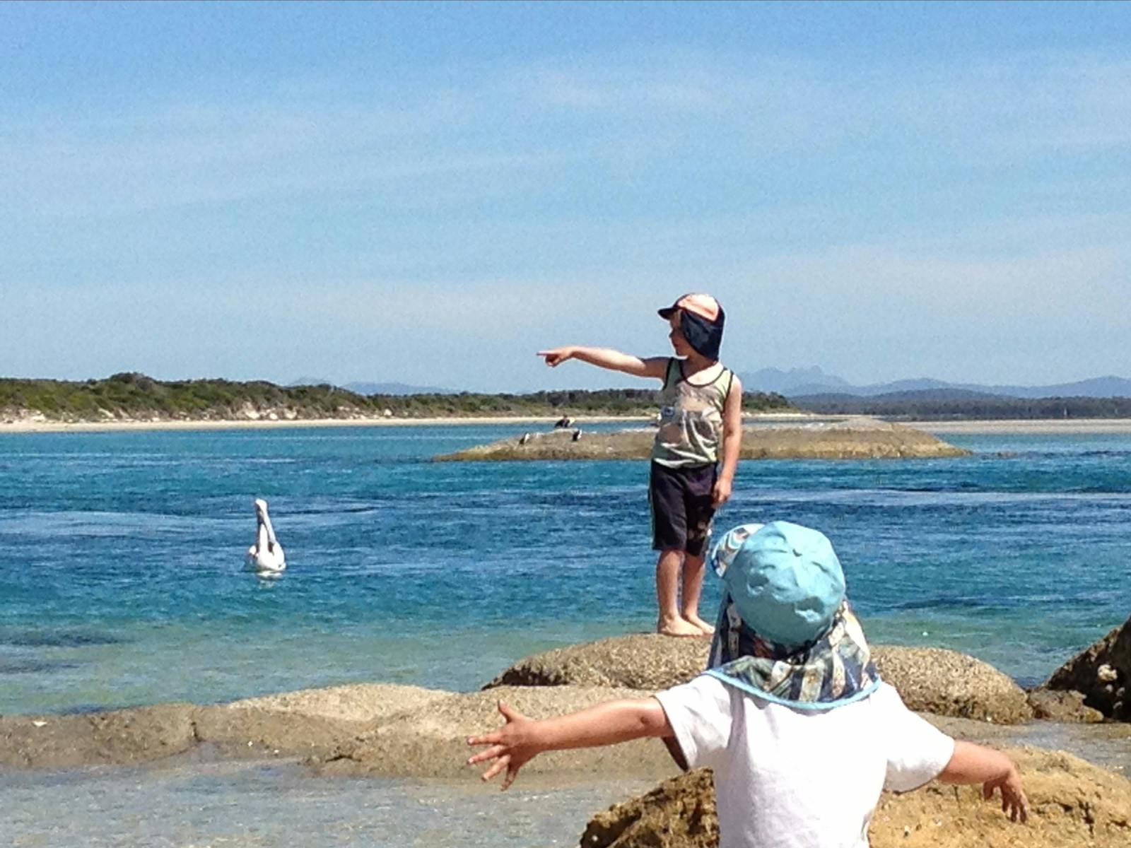 Bird watching North East River Flinders Island Tasmania