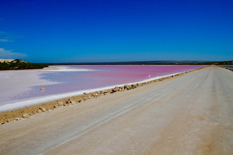 Lake McDonnell