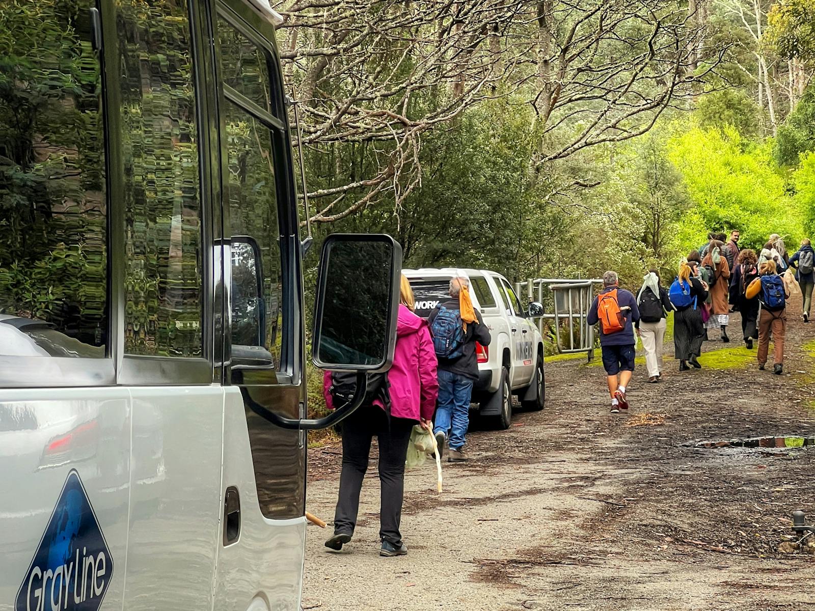 On tour with Experience Tasmania Gray Line