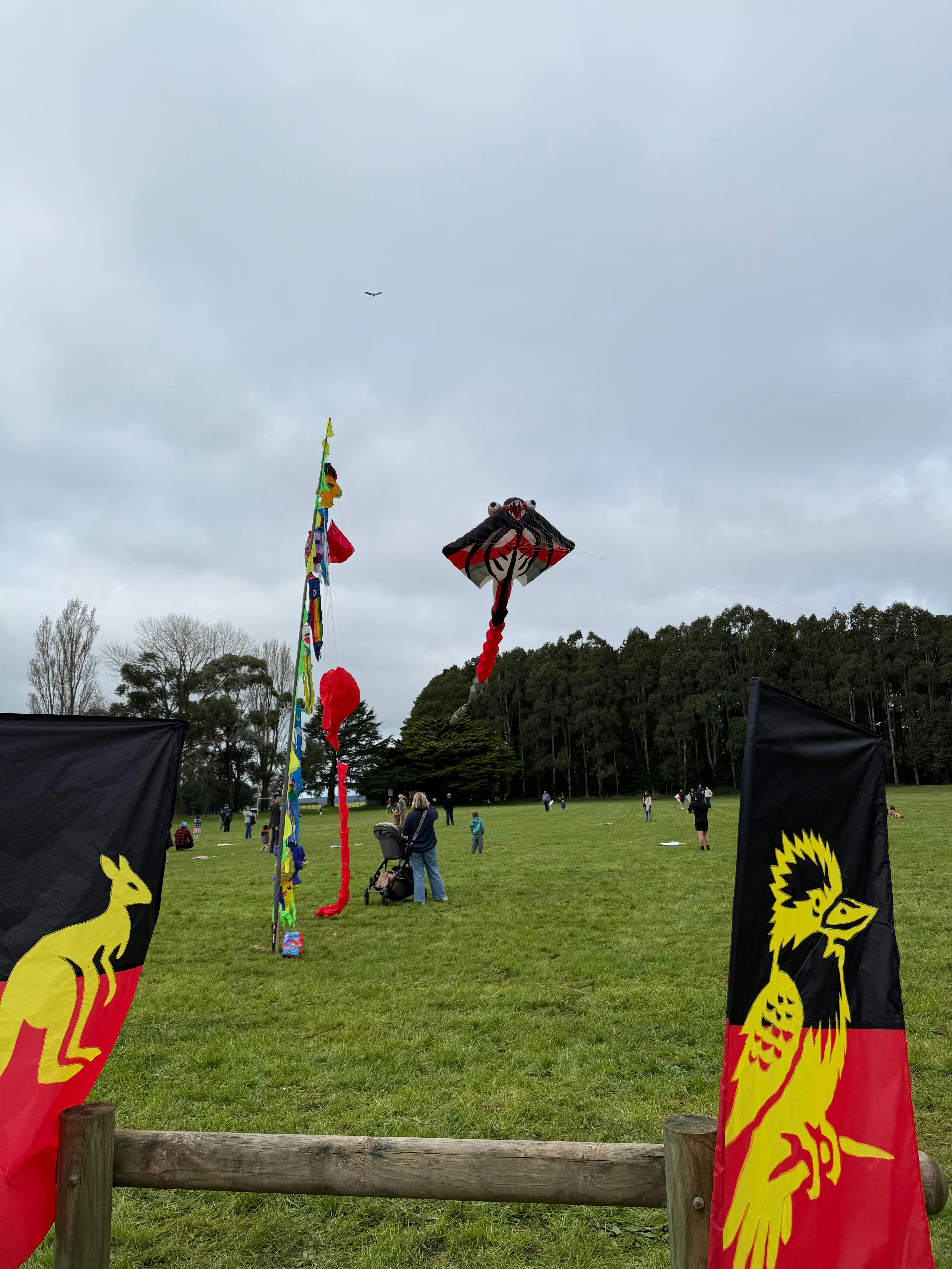 Colourful kites flying