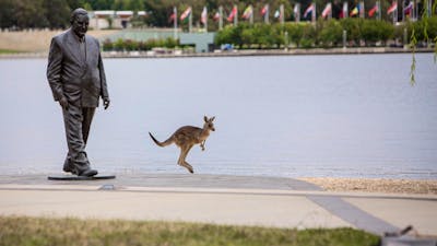 A kangaroo next to the R G Menzies statue on the lakeside