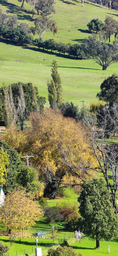 River's Edge cottage