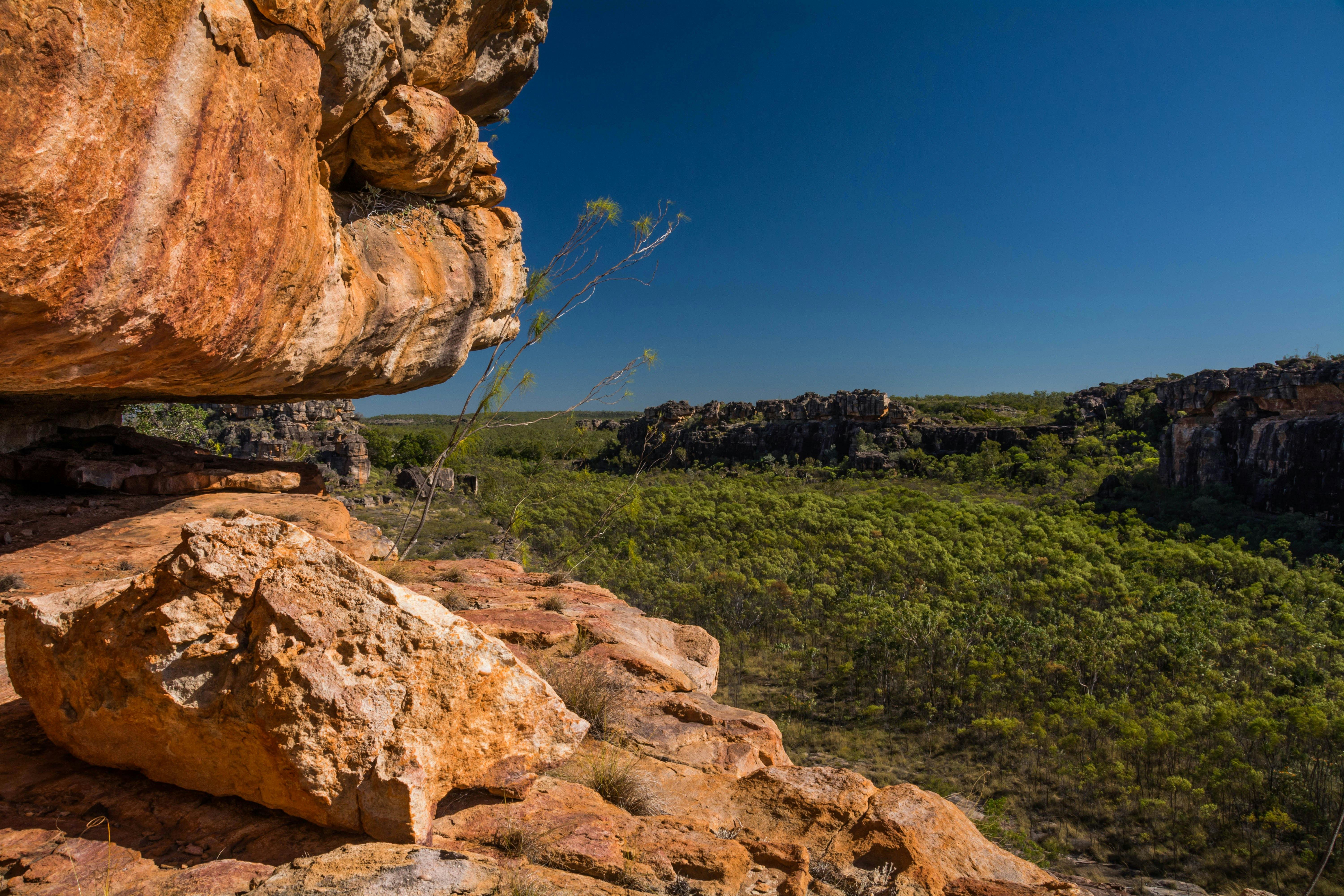 Kakadu Explorer Walking Tours