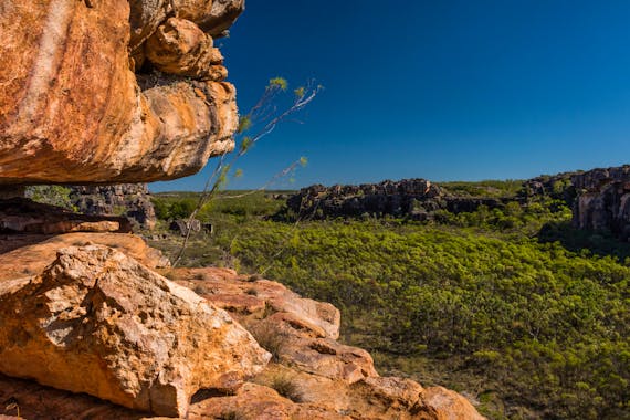 Kakadu Explorer Walking Tours