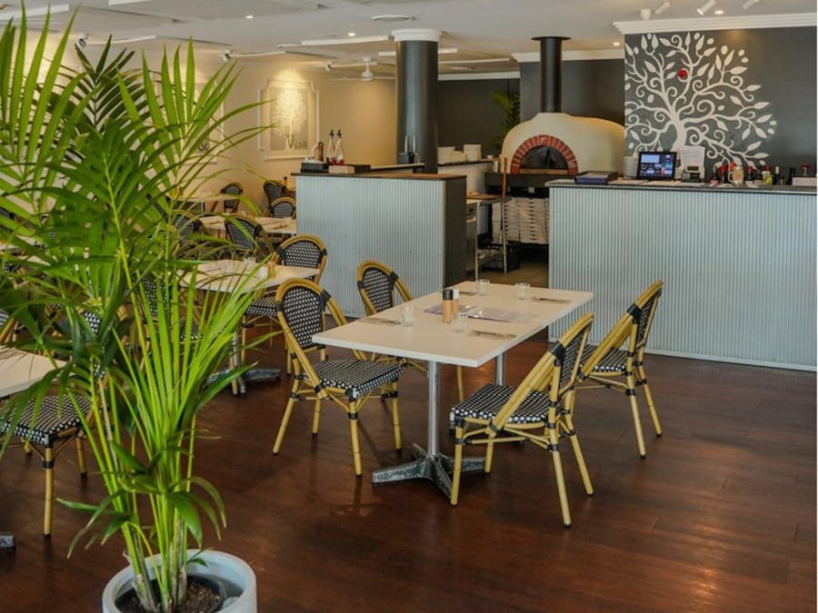 cafe table and chairs set around room with timber floorboards and small palm tree in foregrond