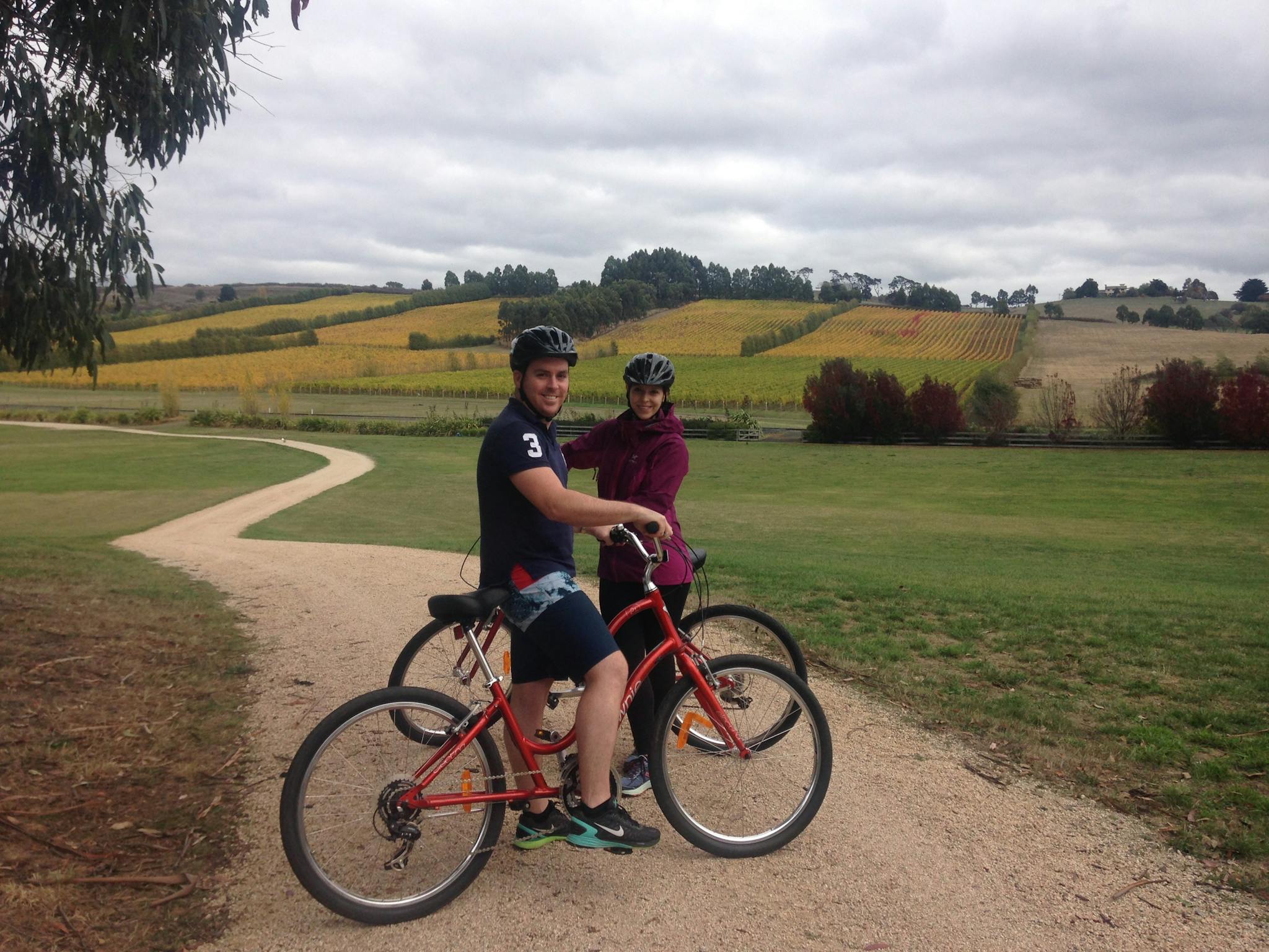 Enjoy a leisurely ride through the vines at Josef Chromy Vineyard, finishing up with a wine tasting.
