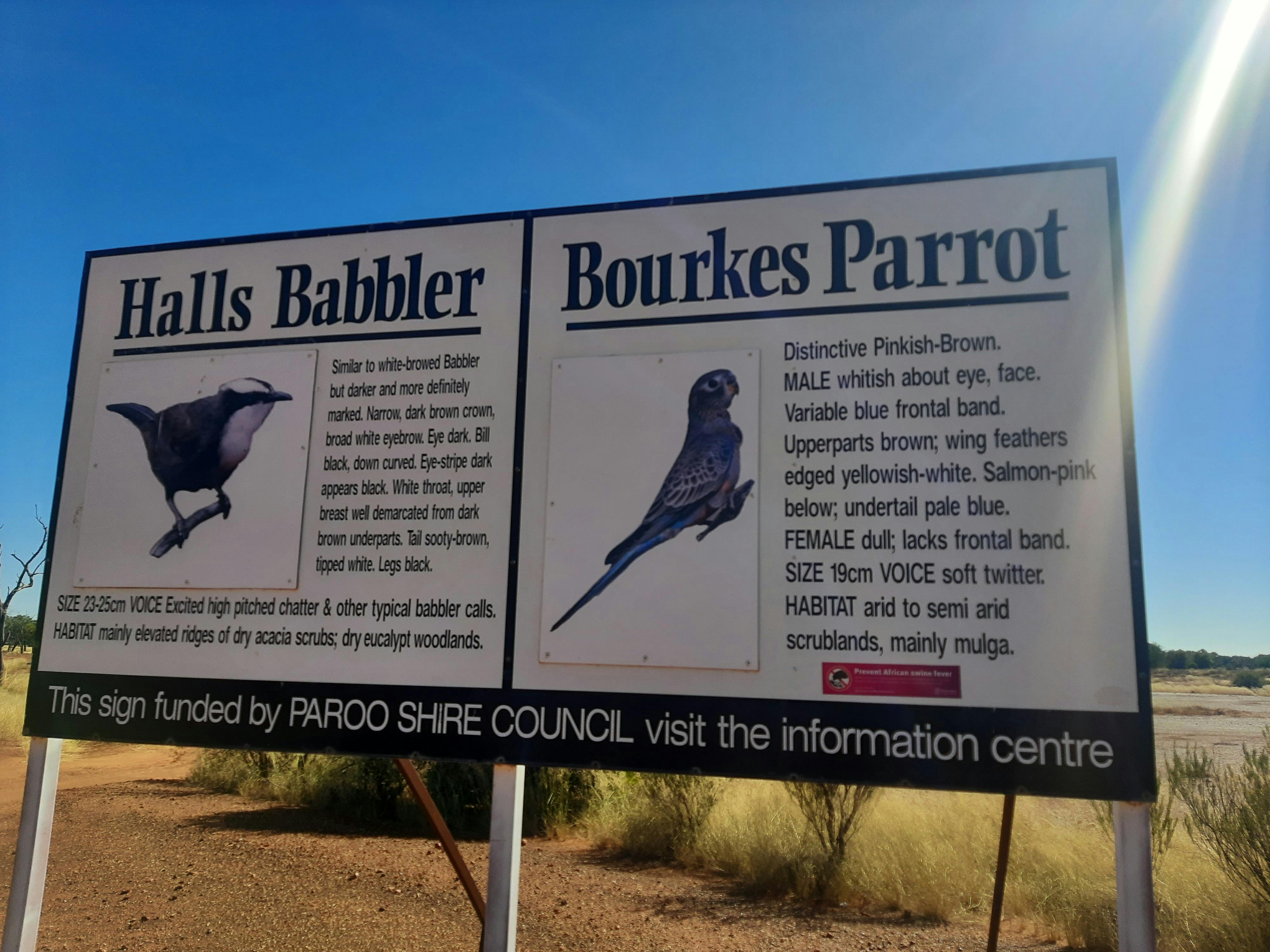 Paddabilla Bore Sign