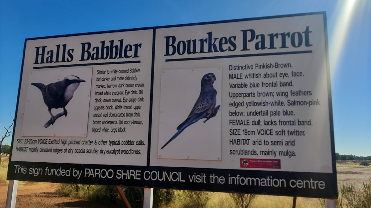 Paddabilla Bore Sign Paddabilla Bore Sign