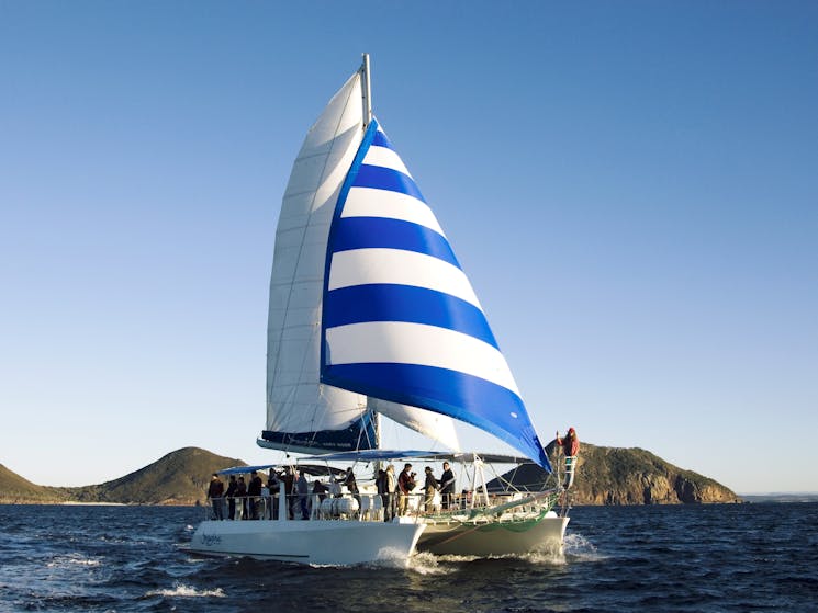 Imagine is a 54ft sailing catamaran