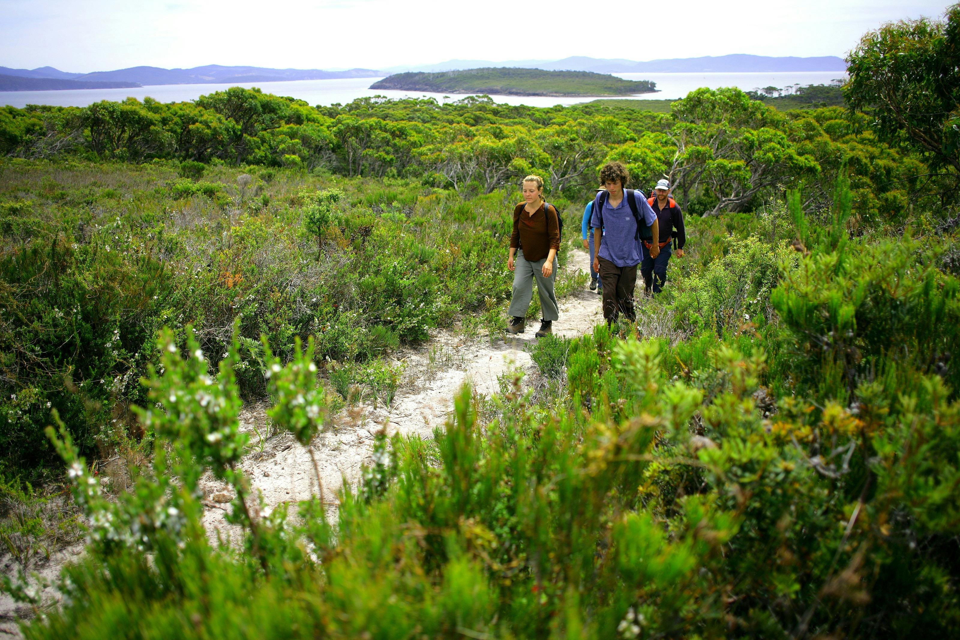 Walkers on the Labillardiere Peninsula Circuit Track, South Bruny National Park