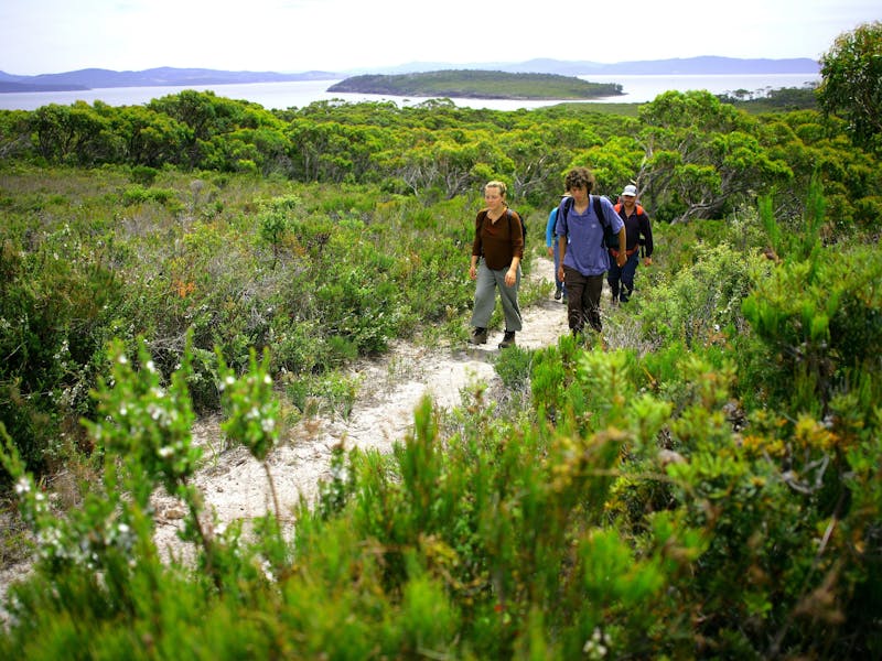 Walkers on the Labillardiere Peninsula Circuit Track, South Bruny National Park