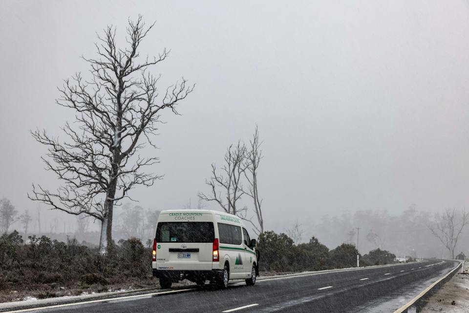 Cradle Mountain Coaches photo