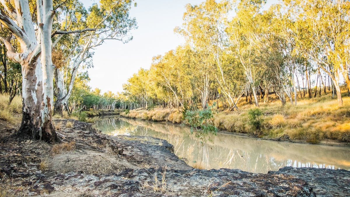 Condamine River, stroll down for a fish while staying at Condamine River Caravan Park