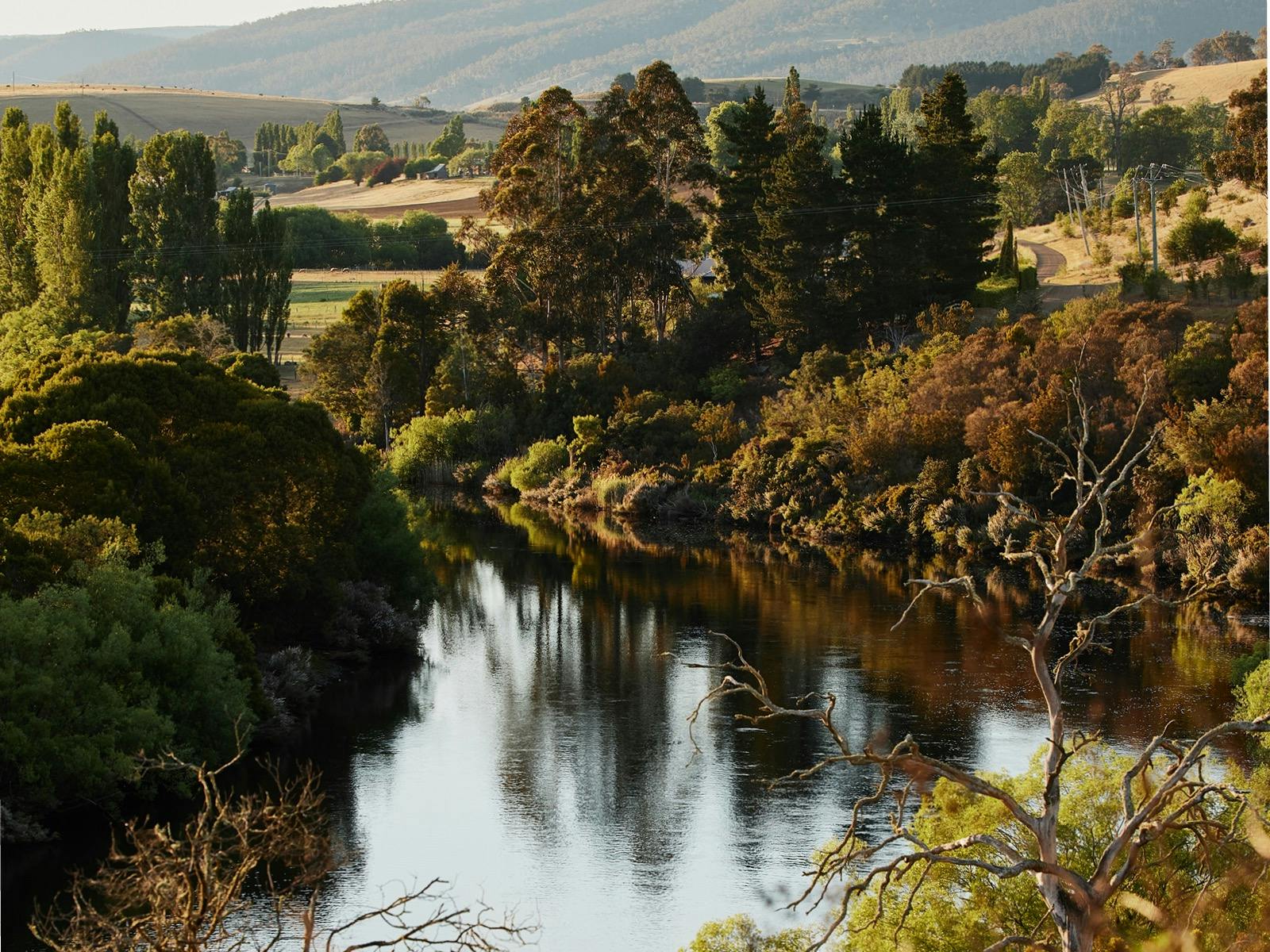 View of the River Derwent. Fly fishing guiding, Tasmania